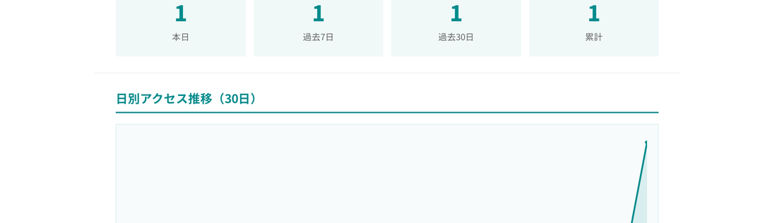 アクセス解析